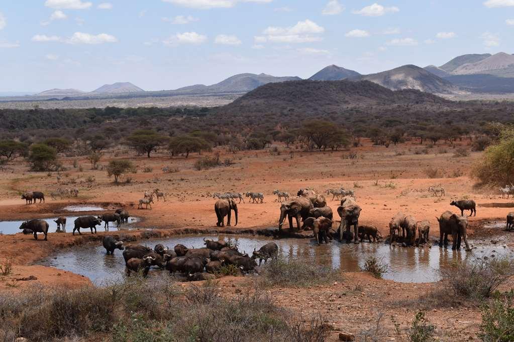 Kilaguni Serena Safari Lodge Tsavo Létesítmények fotó