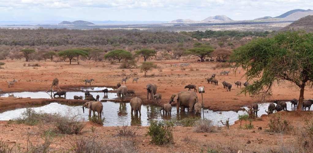 Kilaguni Serena Safari Lodge Tsavo Létesítmények fotó
